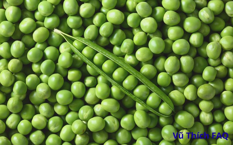 Đậu H&agrave; Lan l&ecirc;n mầm c&oacute; ăn được kh&ocirc;ng? ăn c&oacute; bị g&igrave; kh&ocirc;ng?