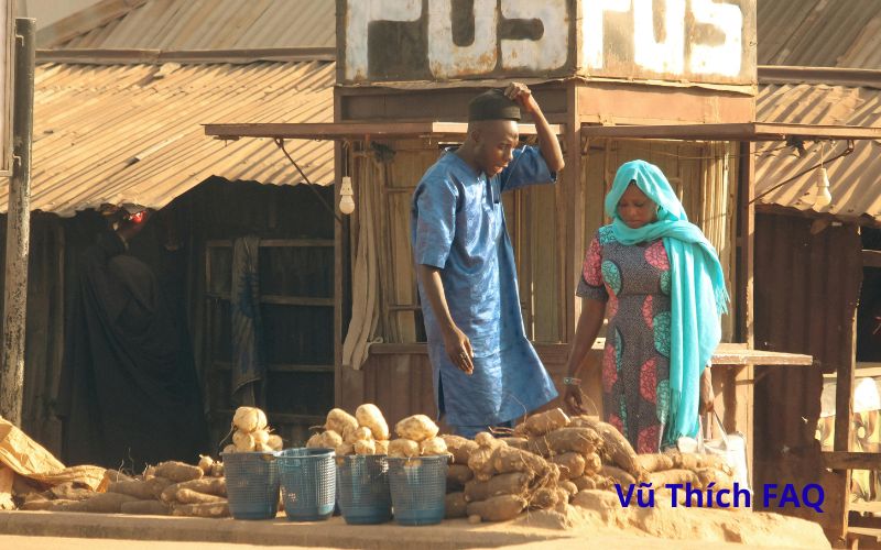 Cách bảo quản củ mài tươi trong tủ lạnh cả tháng không lo hư