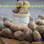 Cách bảo quản củ mài tươi trong tủ lạnh cả tháng không lo hư