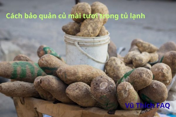 Cách bảo quản củ mài tươi trong tủ lạnh cả tháng không lo hư