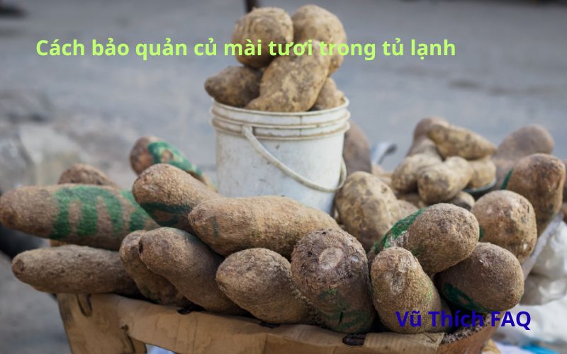 Cách bảo quản củ mài tươi trong tủ lạnh cả tháng không lo hư