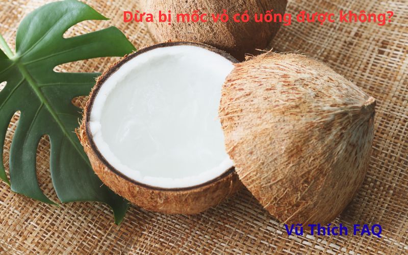 Dừa bị mốc vỏ có uống được không? Có nguy hiểm không?