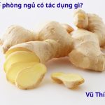 Để Gừng Trong Phòng Ngủ Có Tác Dụng Gì? Có Thực Sự Trừ Tà Ma?