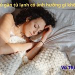 Nằm ngủ gần tủ lạnh có ảnh hưởng gì không? có bị vô sinh?