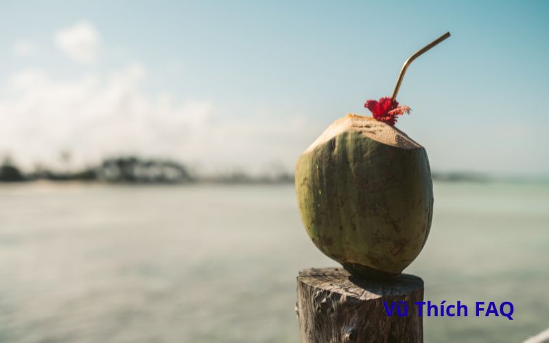 Dừa bị mốc vỏ c&oacute; uống được kh&ocirc;ng? C&oacute; nguy hiểm kh&ocirc;ng?