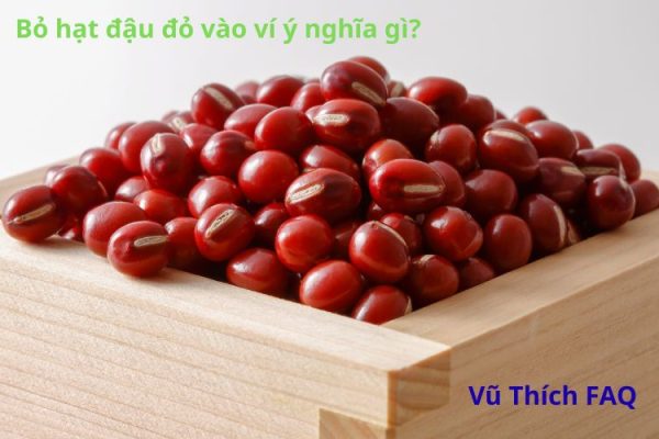 Bỏ hạt đậu đỏ vào ví có ý nghĩa gì? nên dùng mấy hạt thì tốt nhất?
