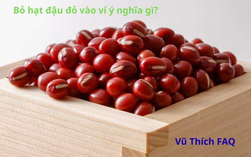 Bỏ hạt đậu đỏ vào ví có ý nghĩa gì? nên dùng mấy hạt thì tốt nhất?