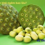 Hạt sen khô ngâm bao lâu? ngâm nước nóng hay lạnh?