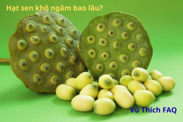 Hạt sen khô ngâm bao lâu? ngâm nước nóng hay lạnh?