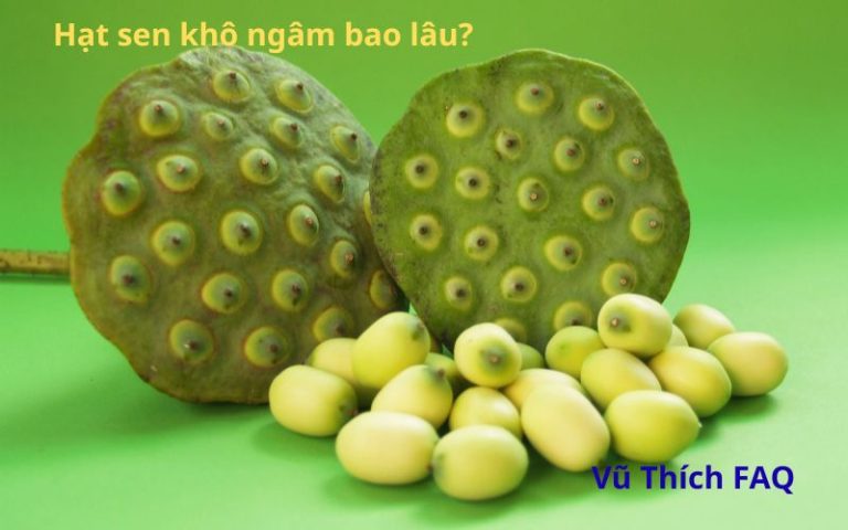 Hạt sen khô ngâm bao lâu? ngâm nước nóng hay lạnh?