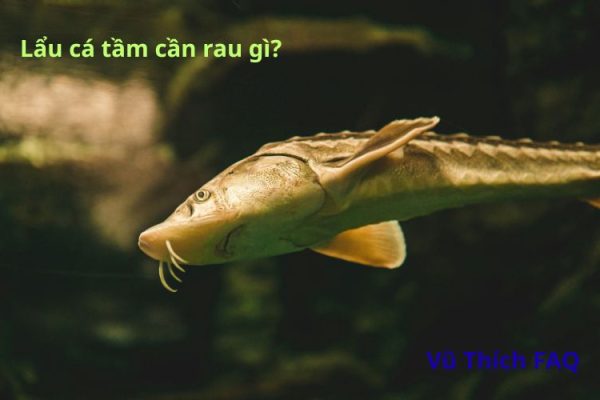 Lẩu cá tầm ăn với rau gì ngon nhất? cần chuẩn bị những gì?