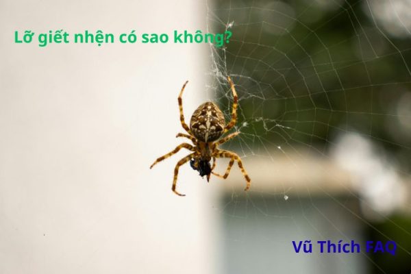 Lỡ giết nhện có sao không? có bị trả thù không?