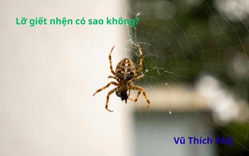 Lỡ giết nhện có sao không? có bị trả thù không?
