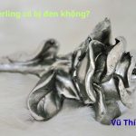 Bạc Sterling 925 có bị đen không? Cách bảo quản chuẩn nhất