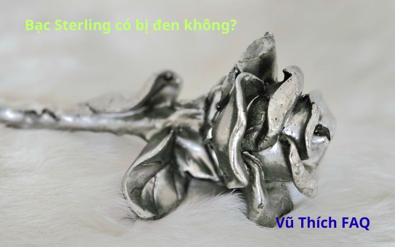Bạc Sterling 925 có bị đen không? Cách bảo quản chuẩn nhất