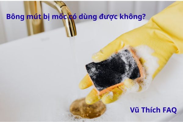 Bông mút bị mốc có dùng được không? Cách xử lý thế nào?