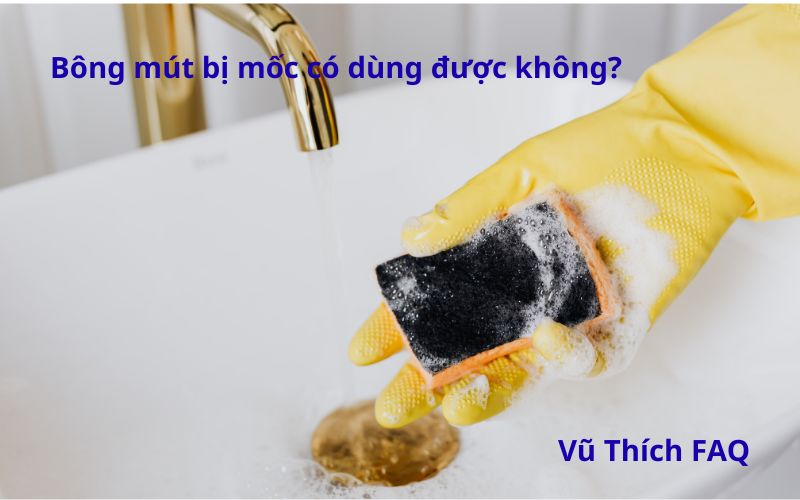 Bông mút bị mốc có dùng được không? Cách xử lý thế nào?