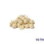 Củ nén mọc mầm có ăn được không? Xử lý thế nào cho an toàn?