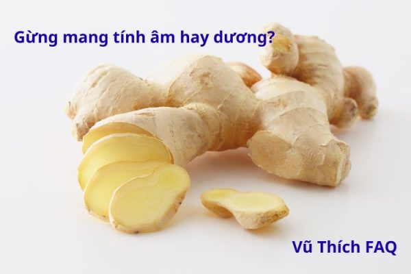 Gừng mang tính âm hay dương? nên dùng chung với gì để cân bằng?