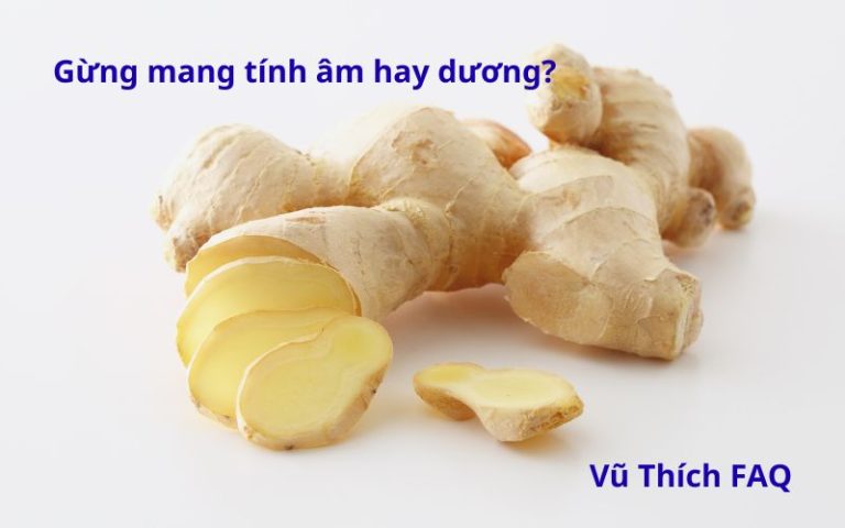 Gừng mang tính âm hay dương? nên dùng chung với gì để cân bằng?