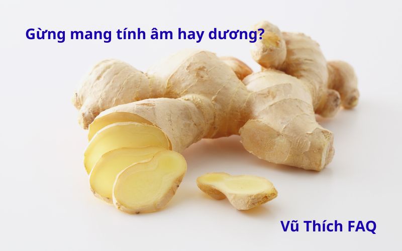 Gừng mang tính âm hay dương? nên dùng chung với gì để cân bằng?