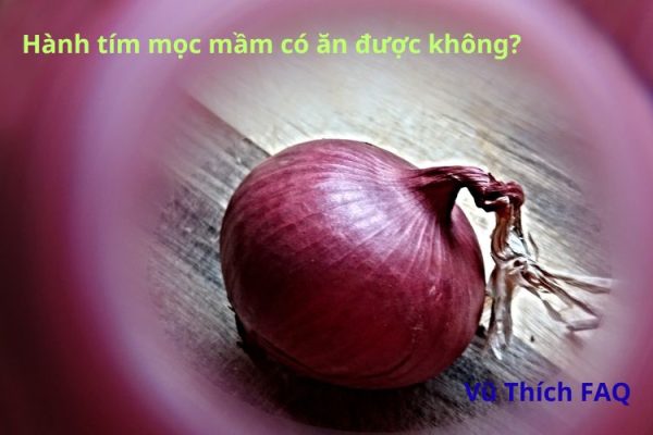 Hành tím mọc mầm có ăn được không? Có đau bụng không?