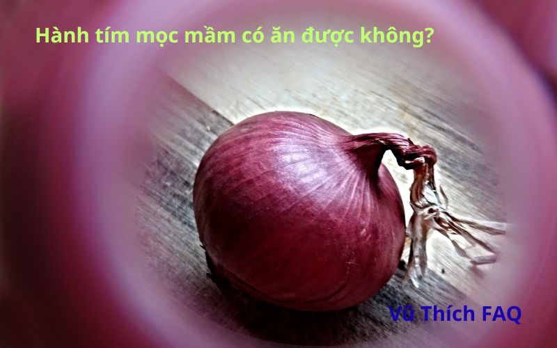 Hành tím mọc mầm có ăn được không? Có đau bụng không?
