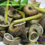 Luộc ốc núi bao nhiêu phút thì chín? bí quyết luộc ốc ngon