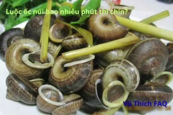 Luộc ốc núi bao nhiêu phút thì chín? bí quyết luộc ốc ngon