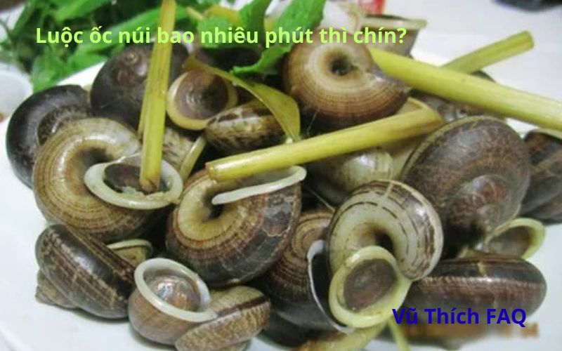 Luộc ốc núi bao nhiêu phút thì chín? bí quyết luộc ốc ngon