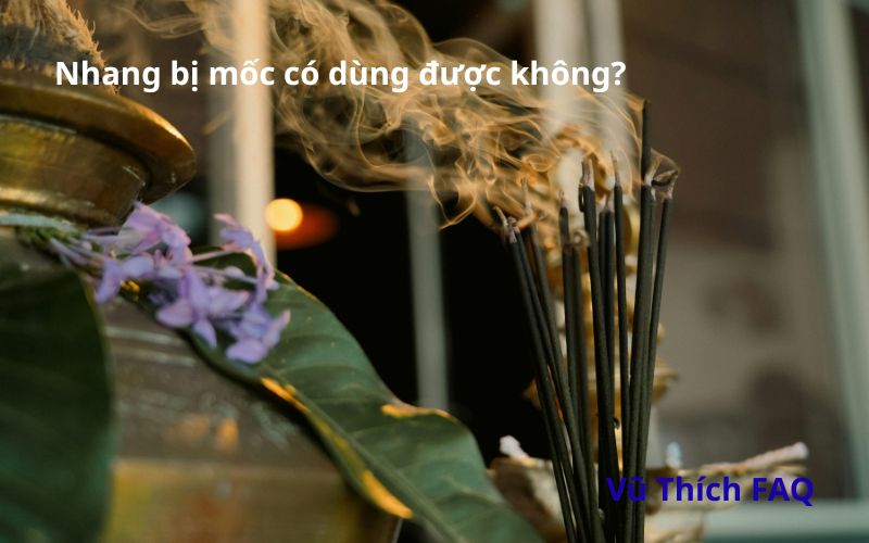 Nhang bị mốc có dùng được không? Cách xử lý thế nào?