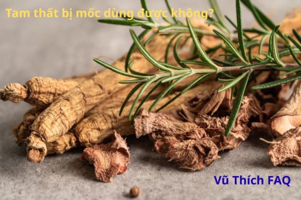 Tam thất bị mốc có dùng được không? Cách xử lý thế nào?