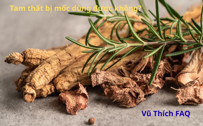 Tam thất bị mốc có dùng được không? Cách xử lý thế nào?