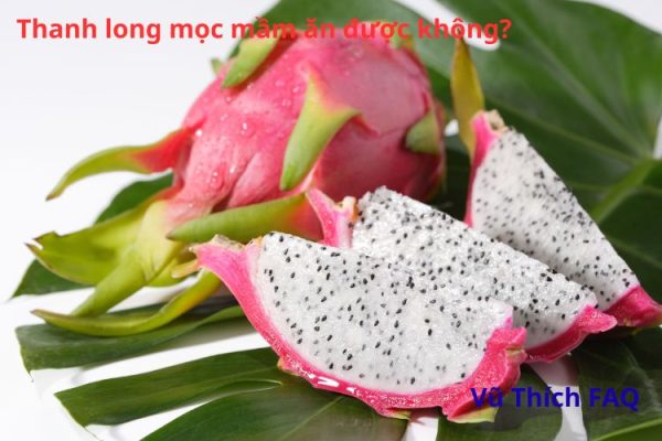 Thanh long mọc mầm ăn được không? Có nguy hiểm không?