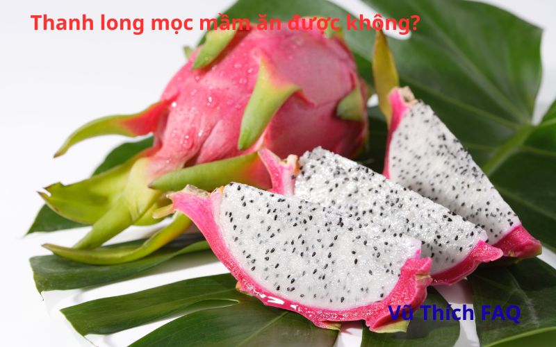 Thanh long mọc mầm ăn được không? Có nguy hiểm không?
