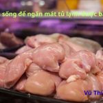 Bảo quản thịt gà sống trong ngăn mát tủ lạnh được bao lâu?