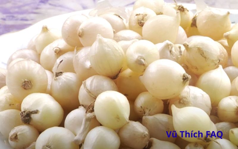 Củ nén mọc mầm có ăn được không? Xử lý thế nào cho an toàn?