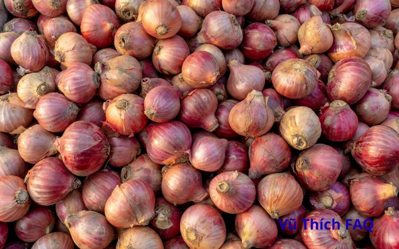 H&agrave;nh t&iacute;m mọc mầm c&oacute; ăn được kh&ocirc;ng? C&oacute; đau bụng kh&ocirc;ng?