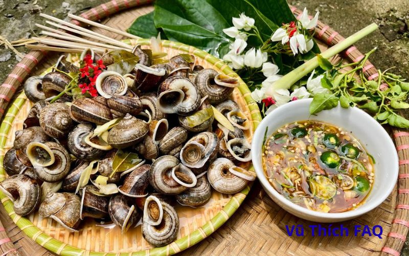 Luộc ốc núi bao nhiêu phút thì chín? bí quyết luộc ốc ngon