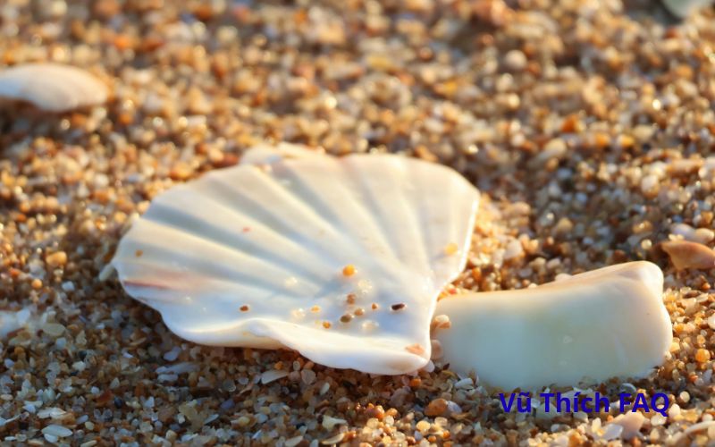 Cách để ngao sống lâu qua đêm hiệu quả nhất