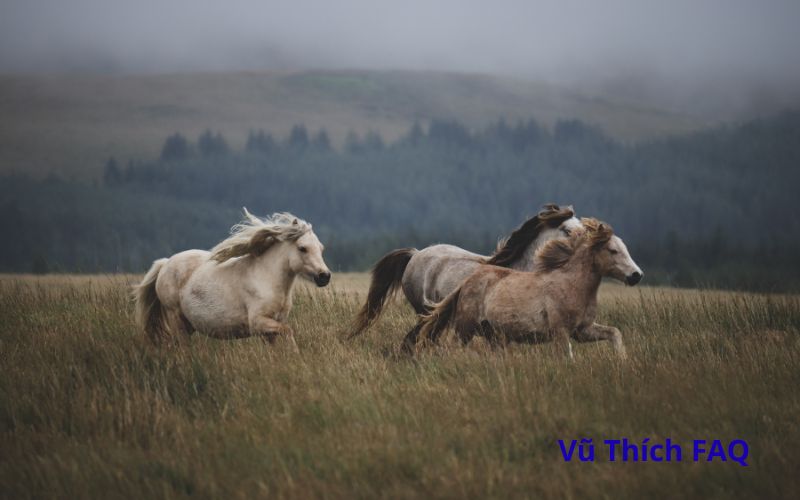 Cao ngựa trẻ em có ăn được không? ăn bao nhiêu là tốt?