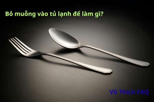 Bỏ muỗng vào tủ lạnh để làm gì? Bỏ bao lâu thì được?