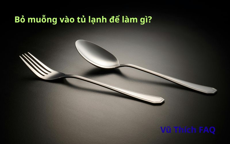 Bỏ muỗng vào tủ lạnh để làm gì? Bỏ bao lâu thì được?