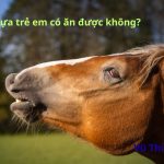 Cao ngựa trẻ em có ăn được không? ăn bao nhiêu là tốt?