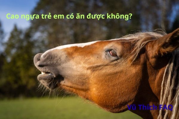 Cao ngựa trẻ em có ăn được không? ăn bao nhiêu là tốt?