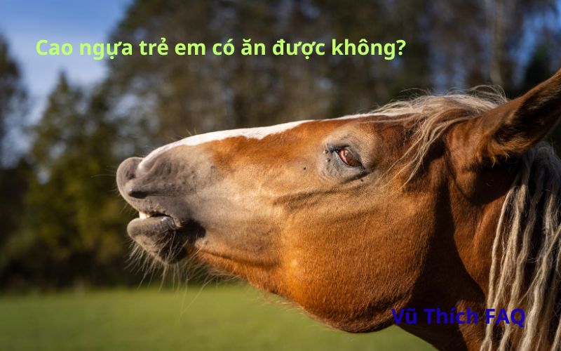 Cao ngựa trẻ em có ăn được không? ăn bao nhiêu là tốt?