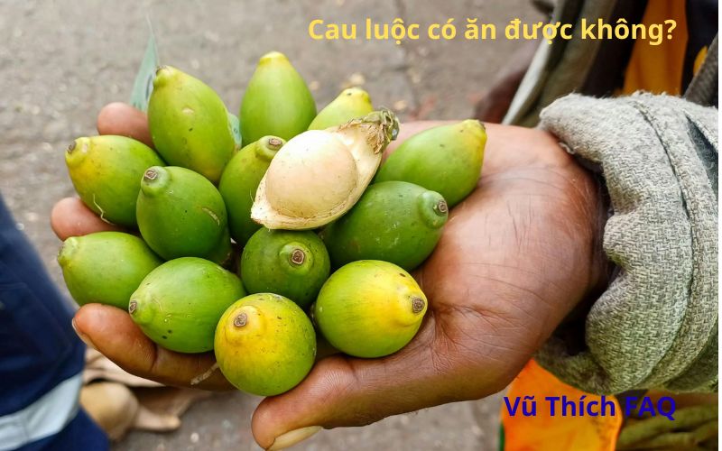 Cau luộc có ăn được không? Luộc bao lâu thì chín?