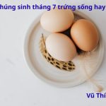 Cúng chúng sinh tháng 7 trứng sống hay chín? Cúng mấy trứng?