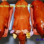 Cúng đầu heo quay hướng nào đúng nhất? cúng lúc nào tốt?