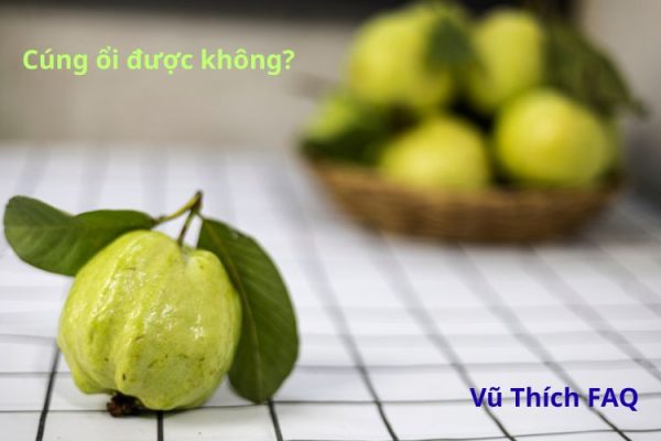 Có cúng ổi được không? Cúng mấy trái thì tốt?